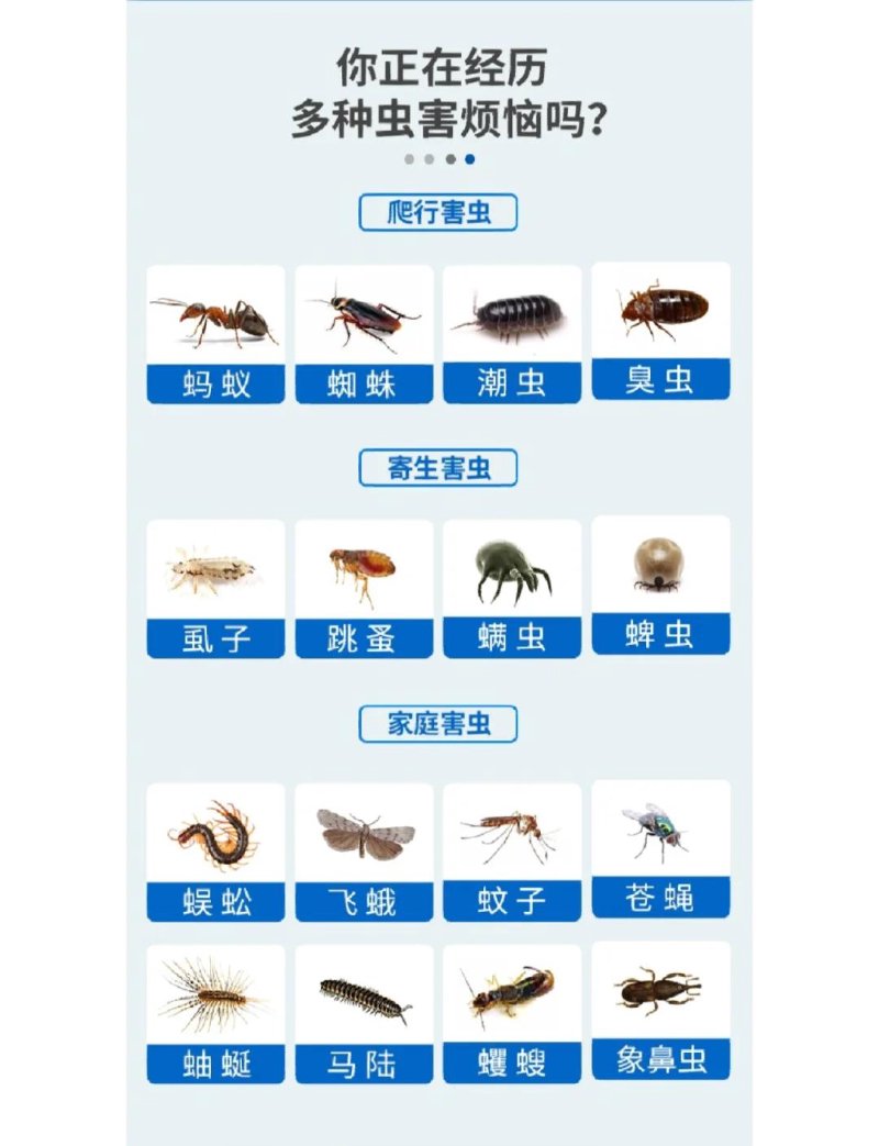 杭州除虫公司怎么选?绿环环境科技带你读懂专业有害生物防治